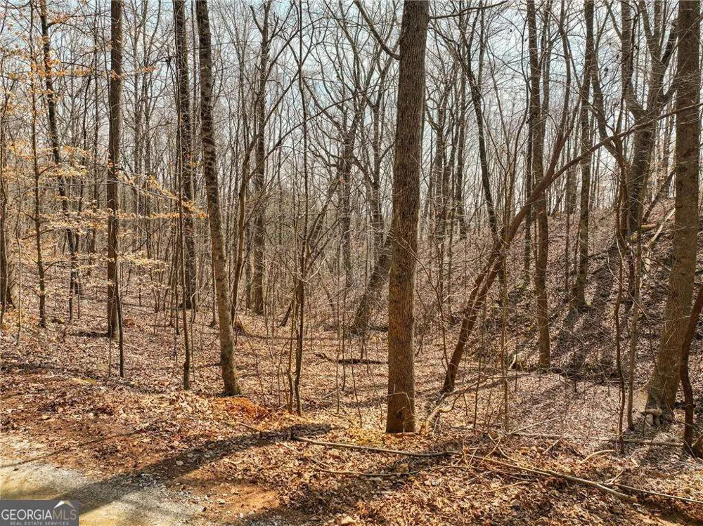 LOT 9 Mount Mincie RD Murrayville, GA 30564