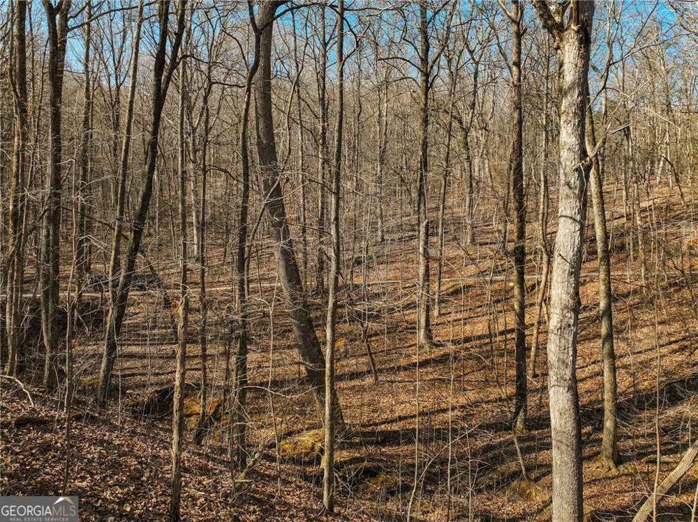 LOT 9 Mount Mincie RD Murrayville, GA 30564