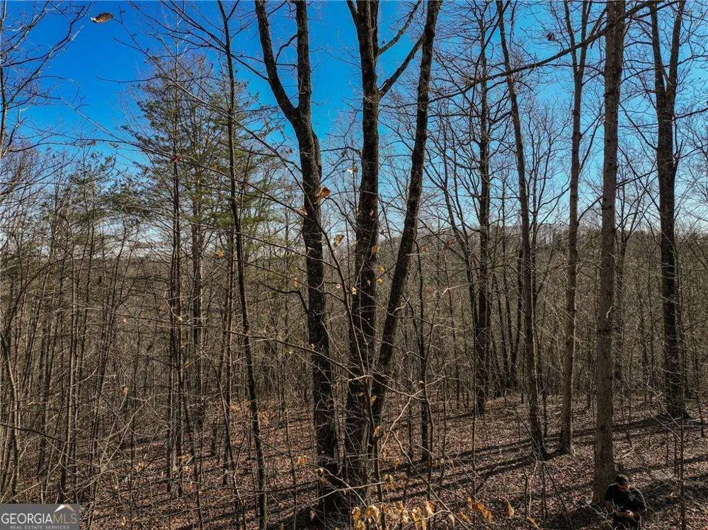 LOT 9 Mount Mincie RD Murrayville, GA 30564