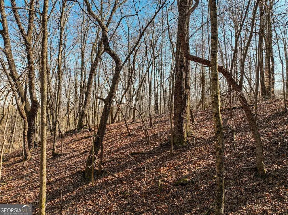 LOT 9 Mount Mincie RD Murrayville, GA 30564