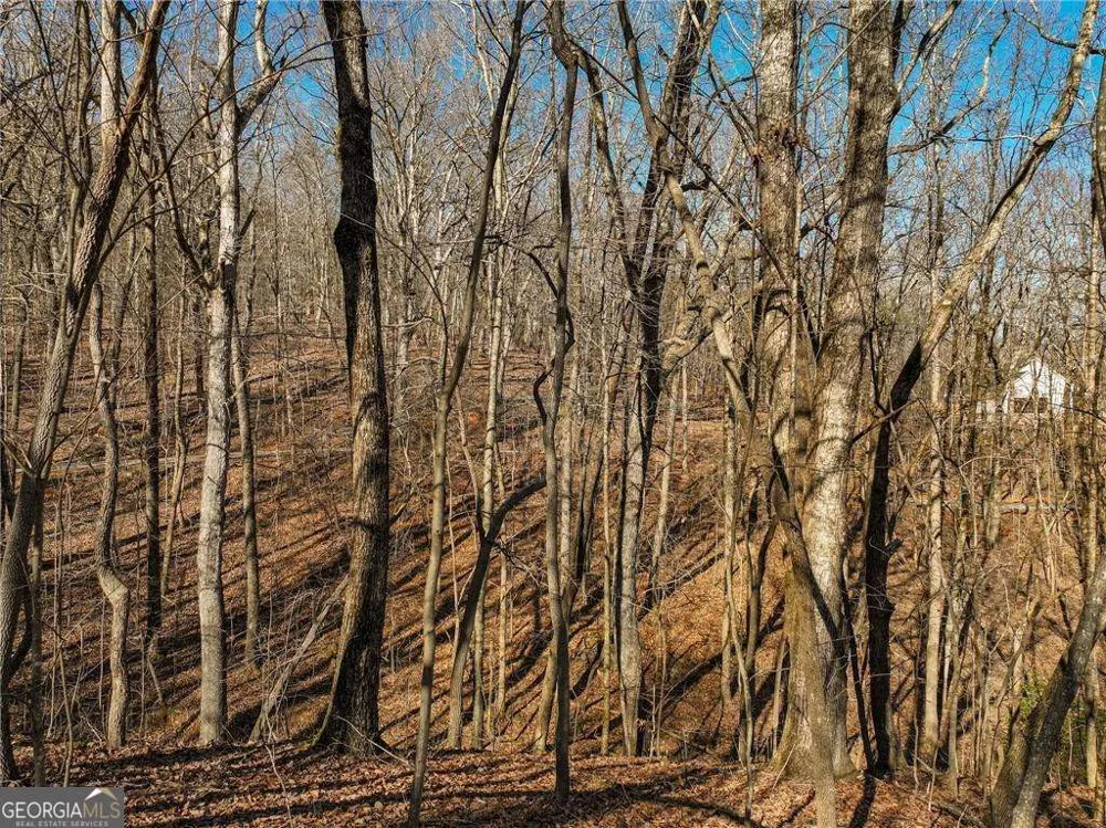 LOT 9 Mount Mincie RD Murrayville, GA 30564