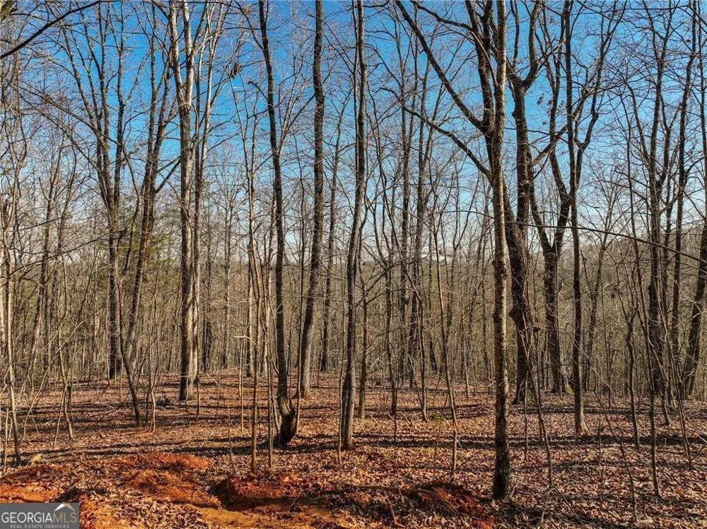 LOT 9 Mount Mincie RD Murrayville, GA 30564