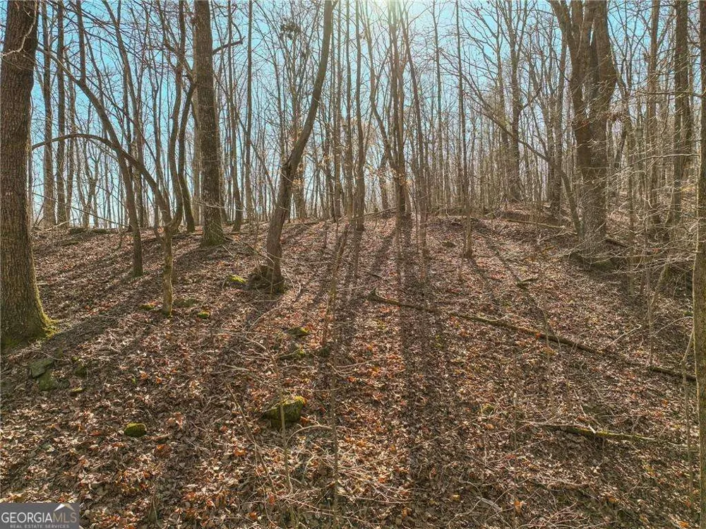 LOT 9 Mount Mincie RD Murrayville, GA 30564
