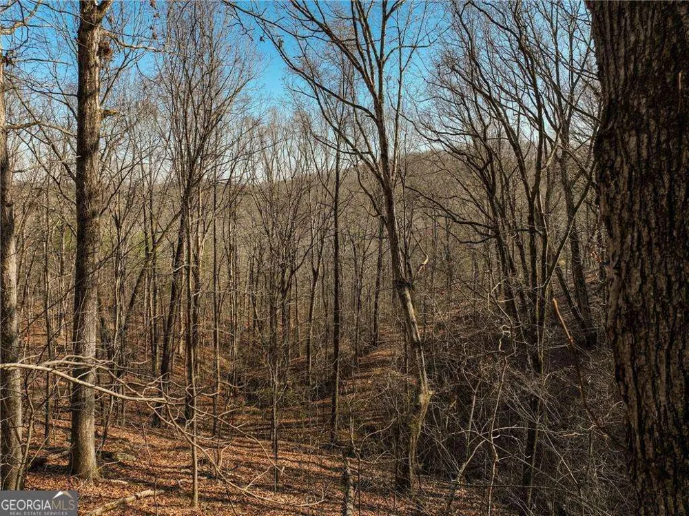 LOT 10 Mount Mincie RD Murrayville, GA 30564