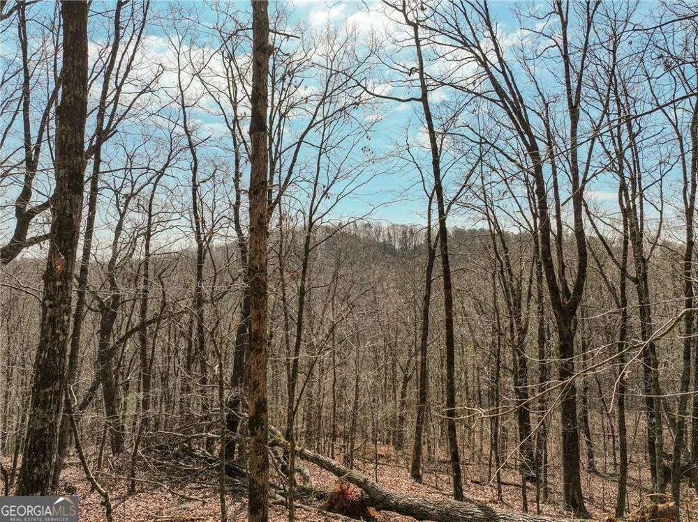 LOT 10 Mount Mincie RD Murrayville, GA 30564