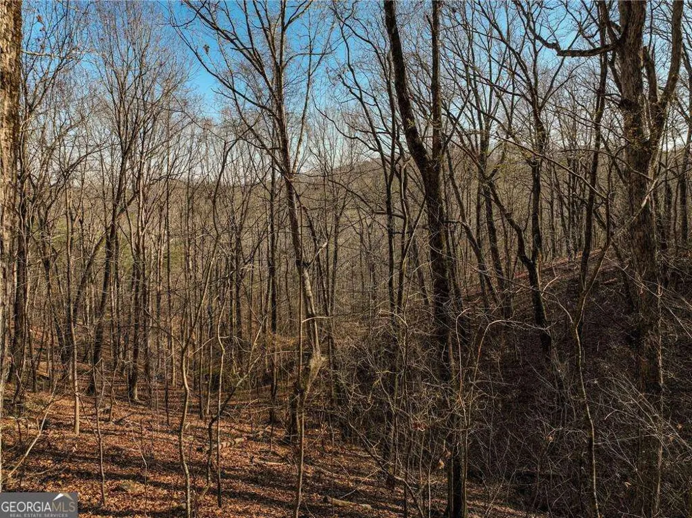 LOT 10 Mount Mincie RD Murrayville, GA 30564