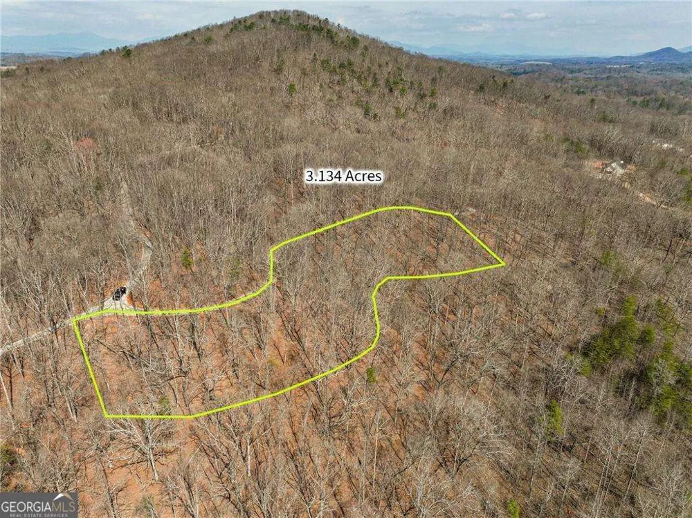 LOT 10 Mount Mincie RD Murrayville, GA 30564