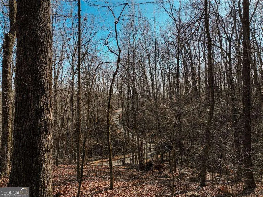LOT 10 Mount Mincie RD Murrayville, GA 30564