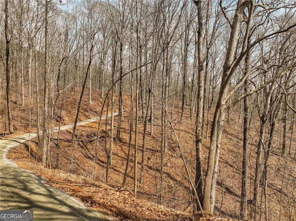 LOT 10 Mount Mincie RD Murrayville, GA 30564
