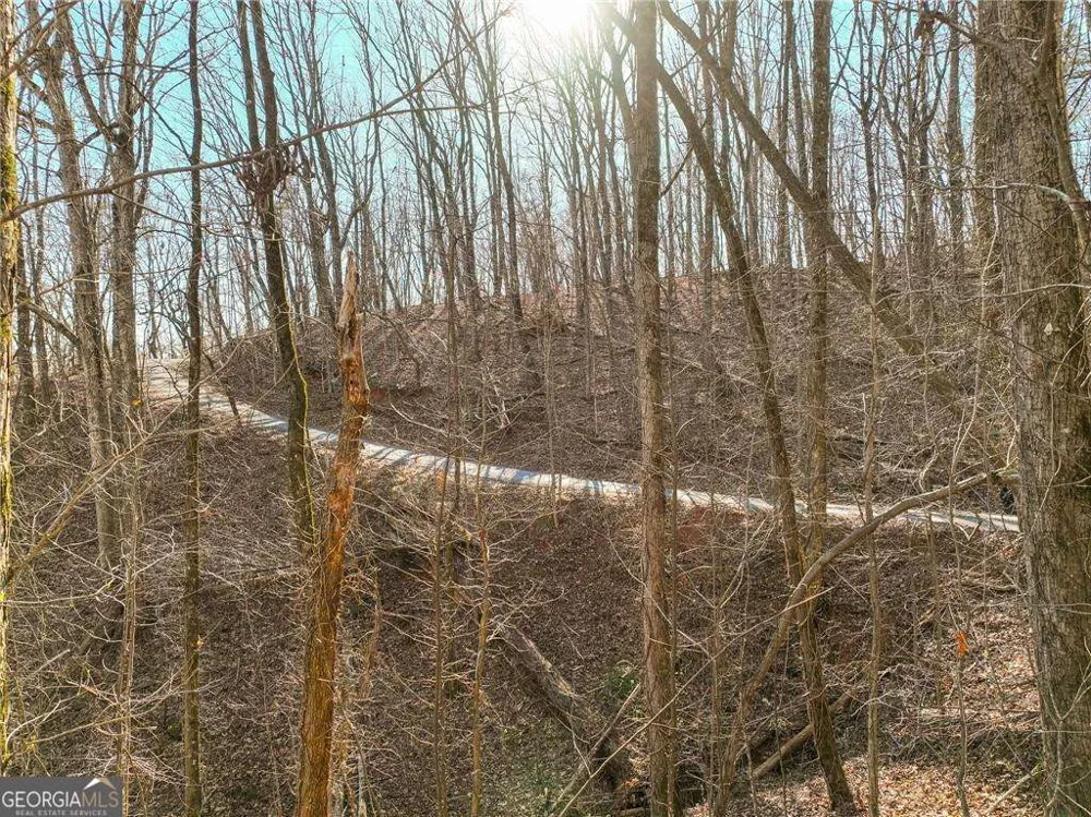 LOT 10 Mount Mincie RD Murrayville, GA 30564