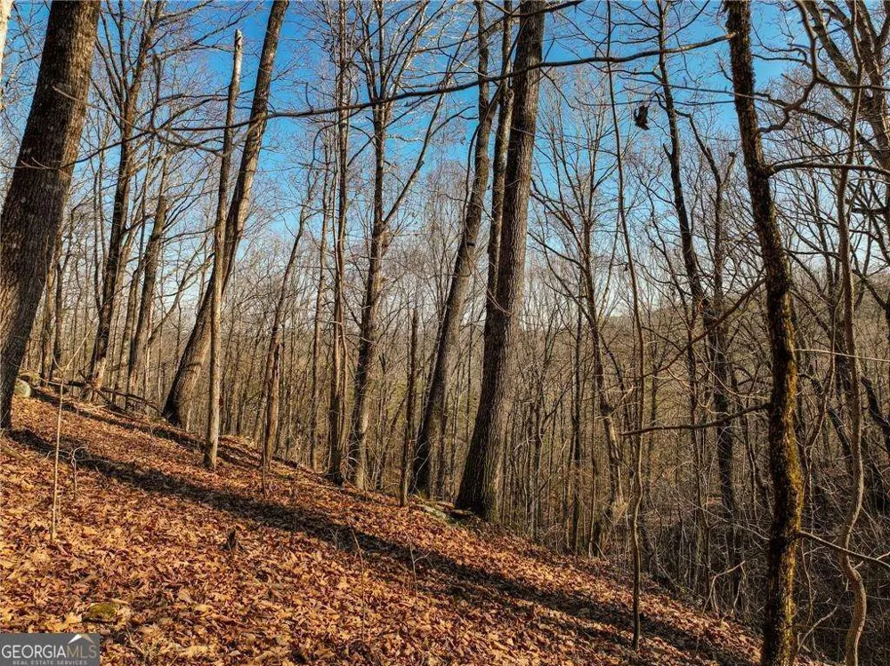 LOT 10 Mount Mincie RD Murrayville, GA 30564