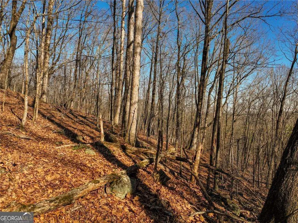 LOT 10 Mount Mincie RD Murrayville, GA 30564