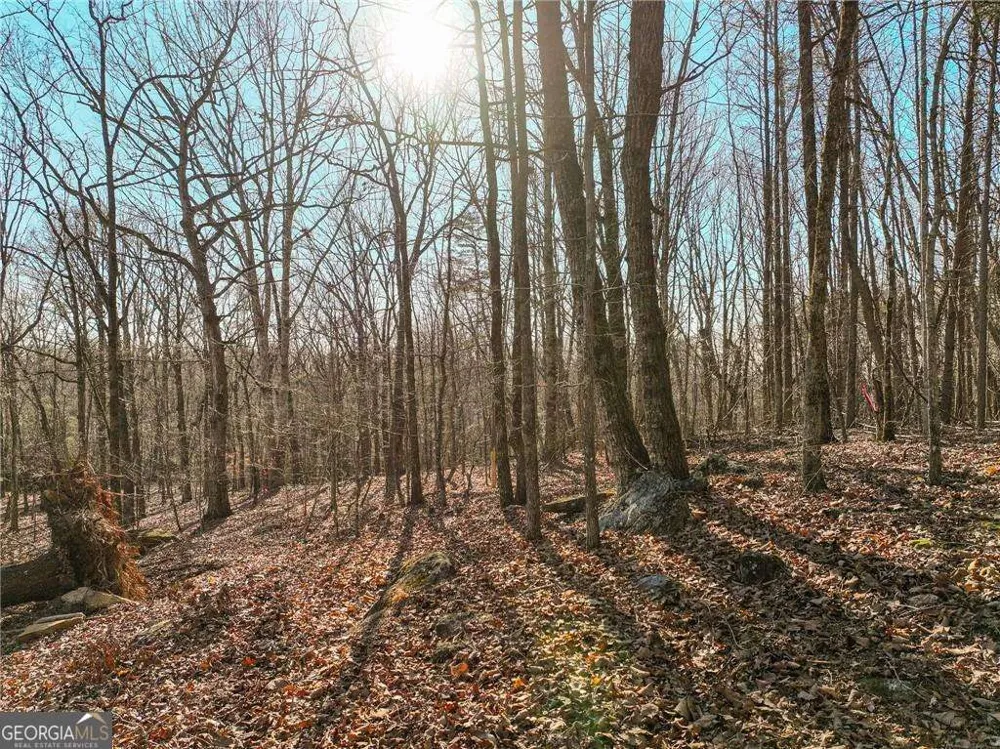 LOT 11 Mount Mincie RD Murrayville, GA 30564