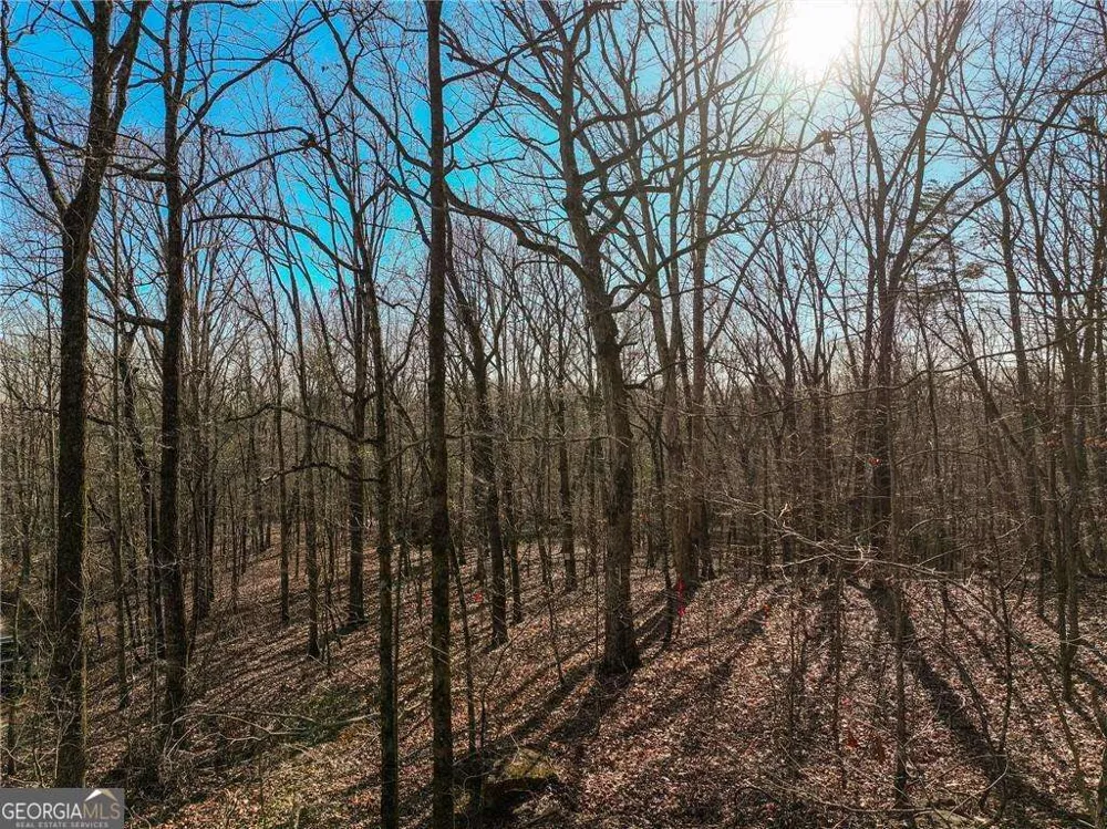 LOT 11 Mount Mincie RD Murrayville, GA 30564