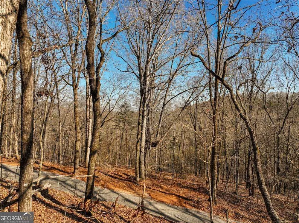 LOT 11 Mount Mincie RD Murrayville, GA 30564