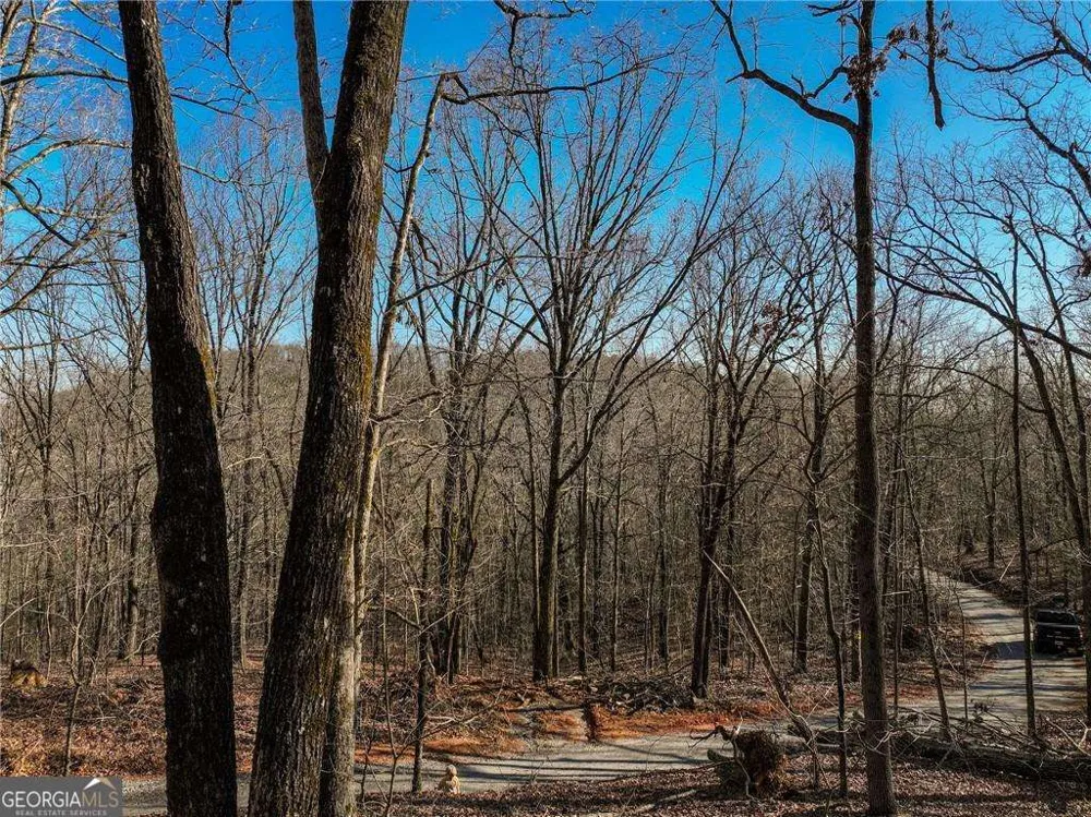 LOT 11 Mount Mincie RD Murrayville, GA 30564