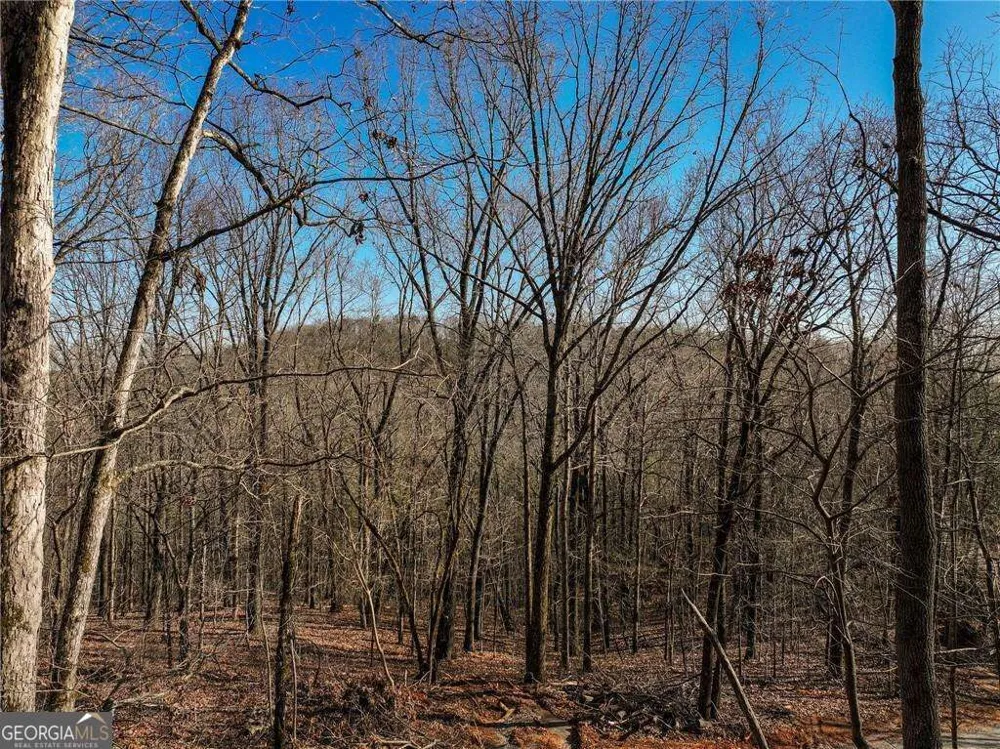 LOT 11 Mount Mincie RD Murrayville, GA 30564