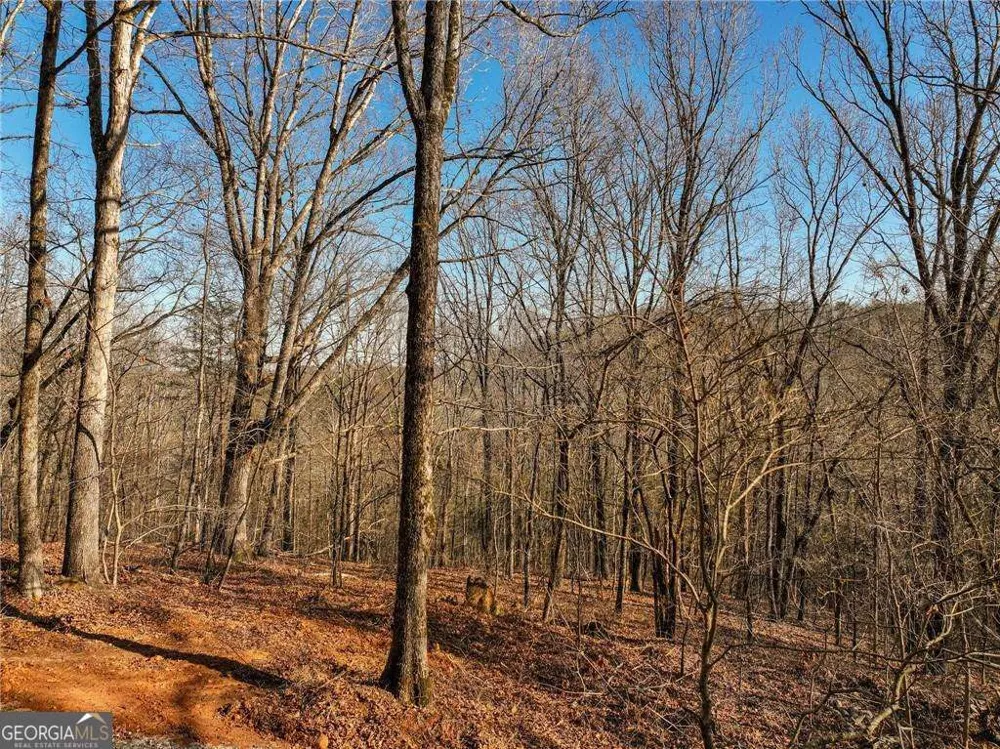 LOT 11 Mount Mincie RD Murrayville, GA 30564