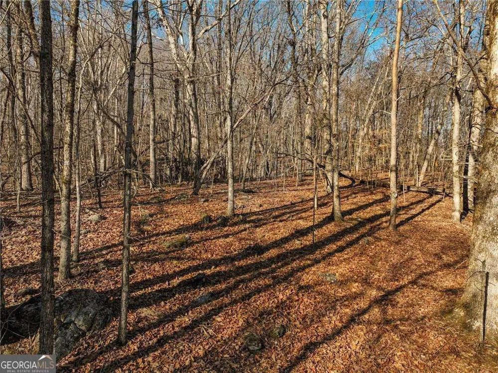 LOT 11 Mount Mincie RD Murrayville, GA 30564