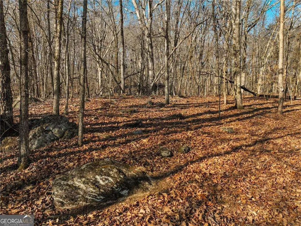 LOT 11 Mount Mincie RD Murrayville, GA 30564