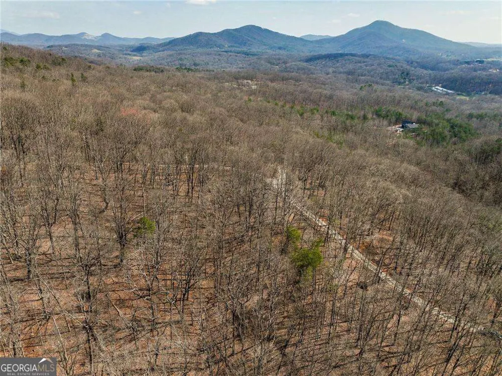 LOT 11 Mount Mincie RD Murrayville, GA 30564