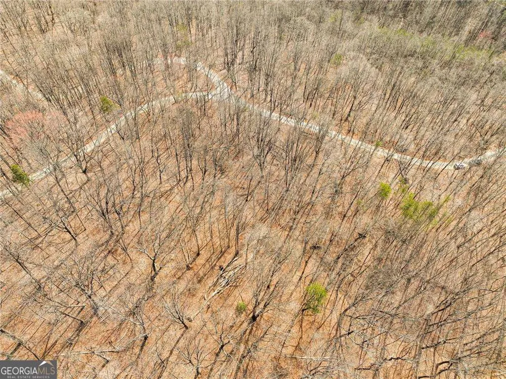LOT 11 Mount Mincie RD Murrayville, GA 30564