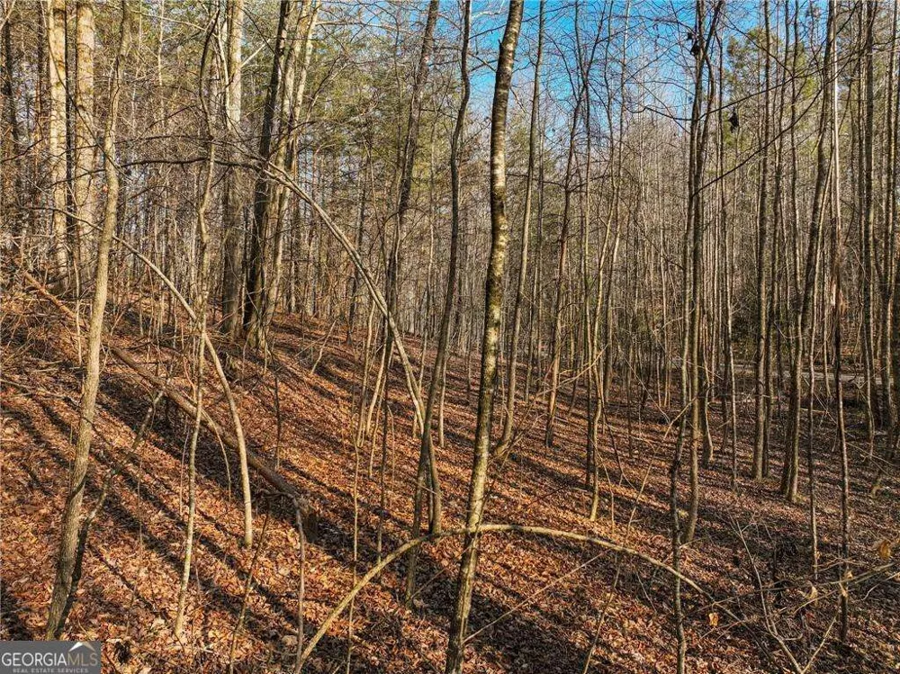 LOT 12 Mount Mincie RD Murrayville, GA 30564