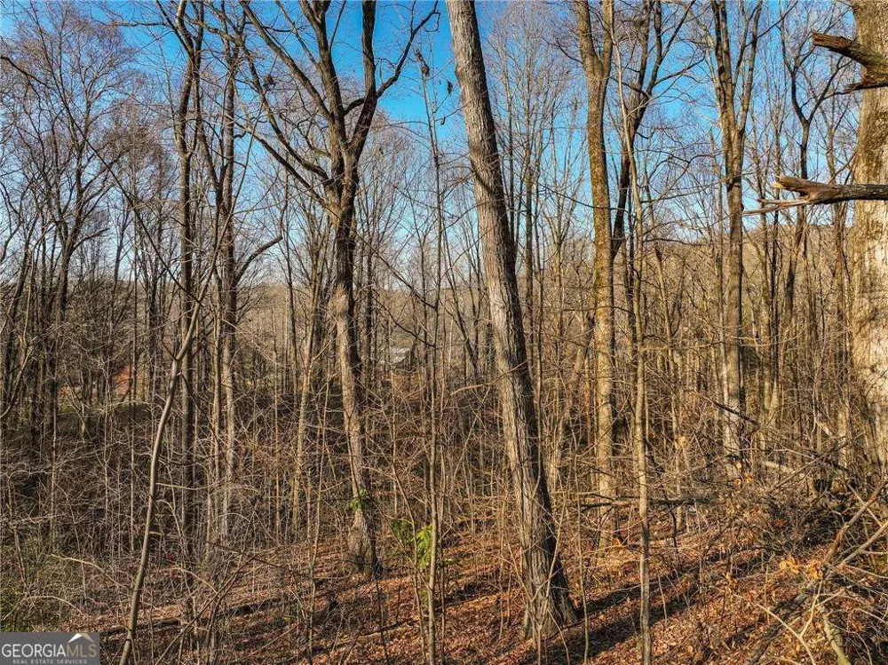 LOT 12 Mount Mincie RD Murrayville, GA 30564