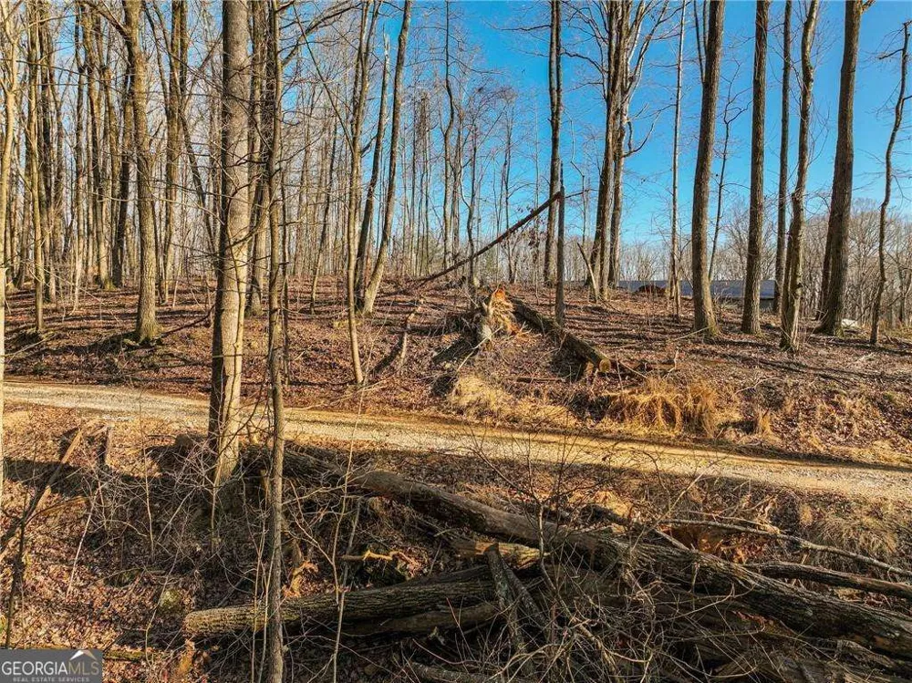 LOT 12 Mount Mincie RD Murrayville, GA 30564