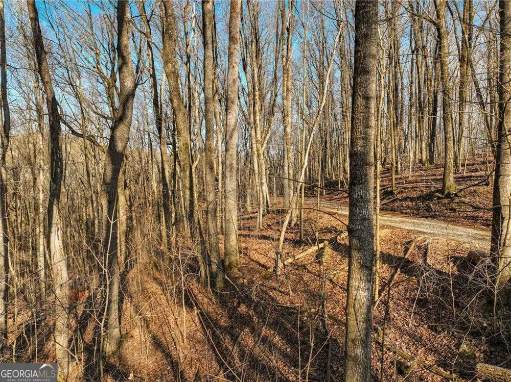 LOT 12 Mount Mincie RD Murrayville, GA 30564