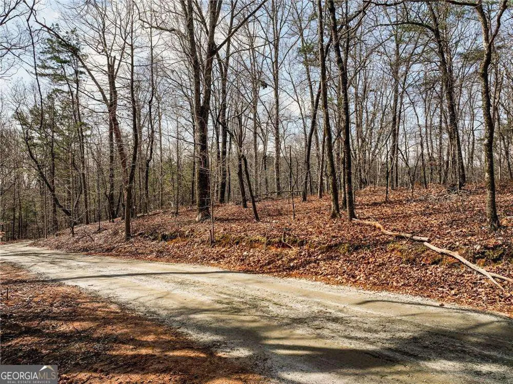 LOT 12 Mount Mincie RD Murrayville, GA 30564