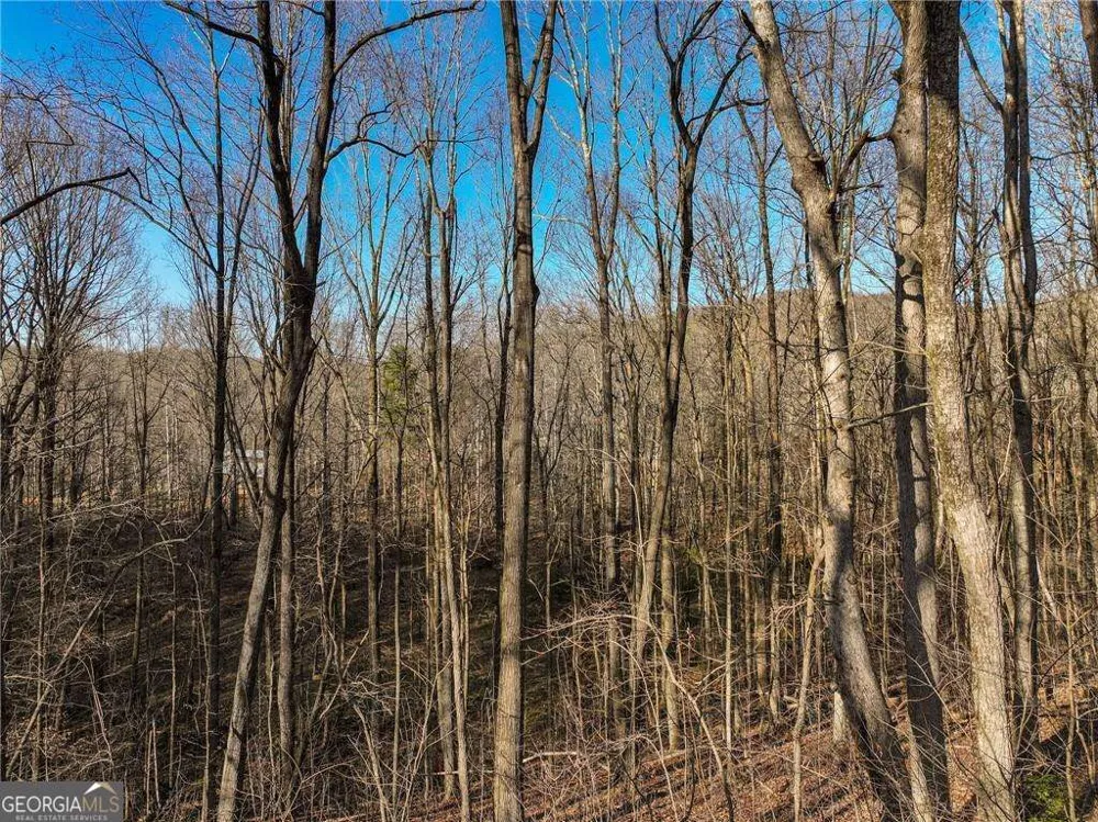 LOT 12 Mount Mincie RD Murrayville, GA 30564