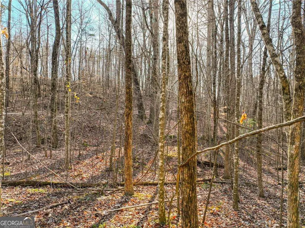 LOT 12 Mount Mincie RD Murrayville, GA 30564
