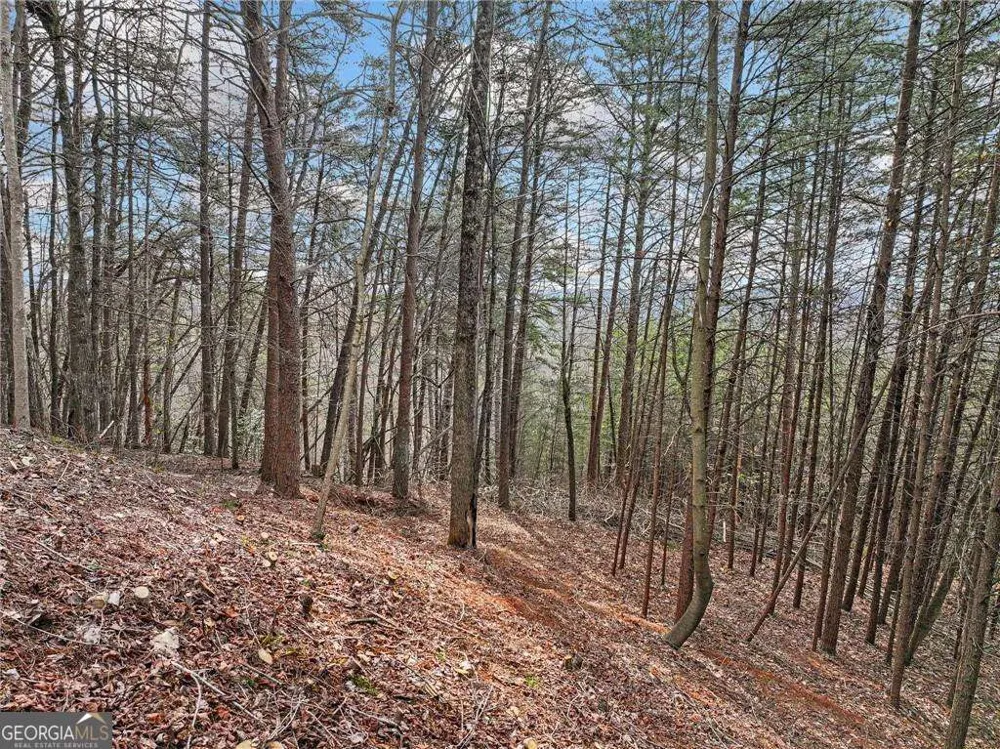 LOT 28 Crown Mountain WAY Dahlonega, GA 30533