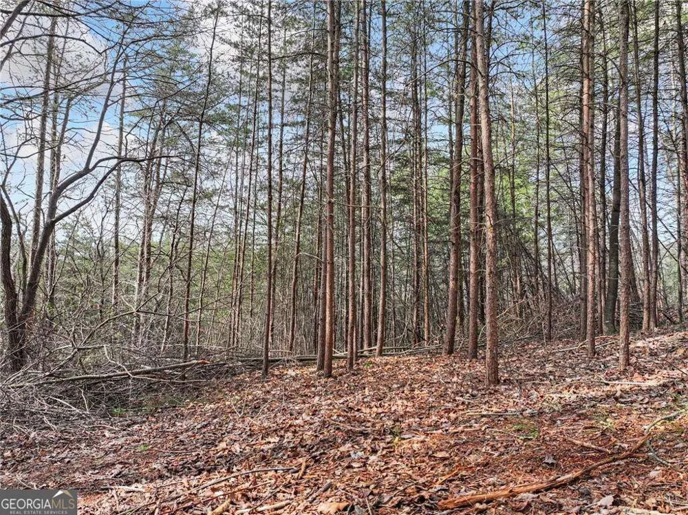 LOT 28 Crown Mountain WAY Dahlonega, GA 30533