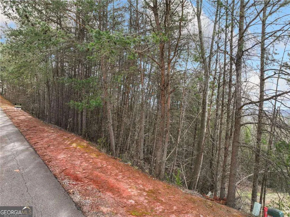 LOT 28 Crown Mountain WAY Dahlonega, GA 30533
