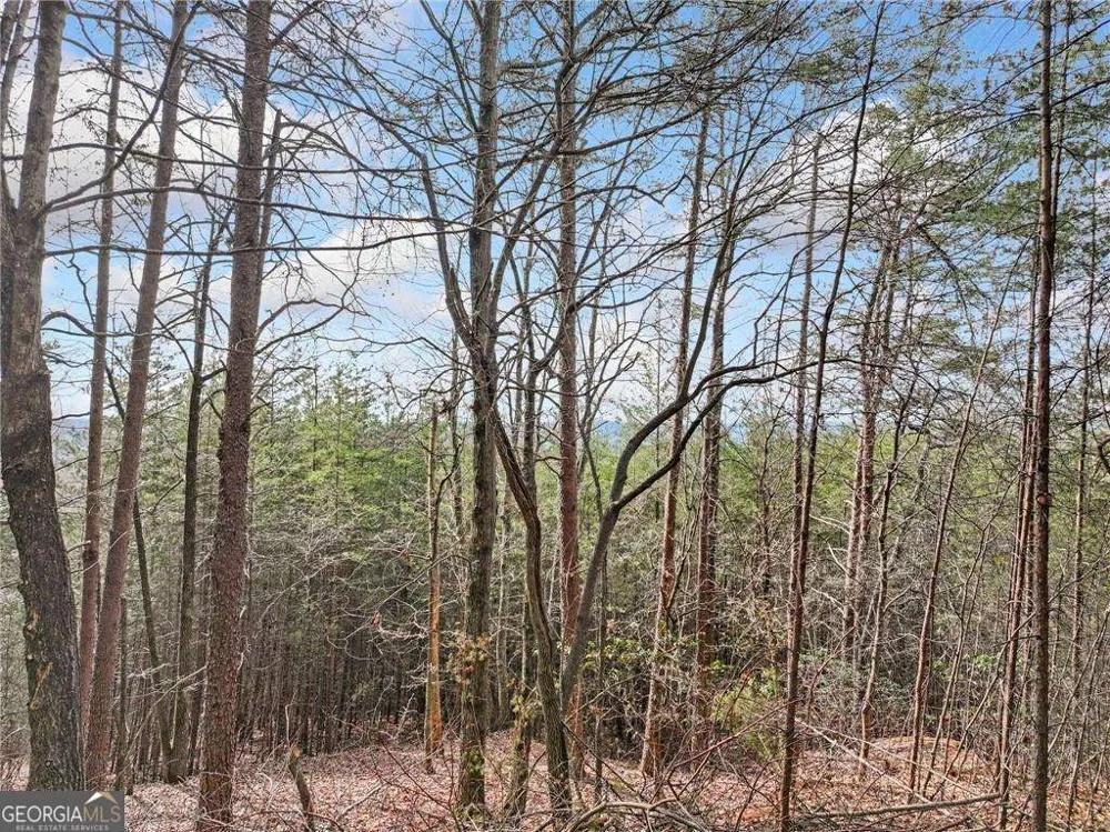 LOT 28 Crown Mountain WAY Dahlonega, GA 30533