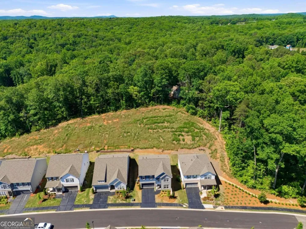 188 Foxhill DR Dawsonville, GA 30534
