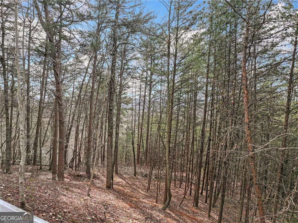 LOT 30 Crown Mountain WAY Dahlonega, GA 30533