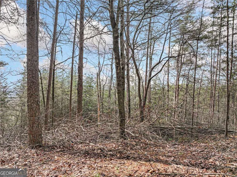 LOT 30 Crown Mountain WAY Dahlonega, GA 30533