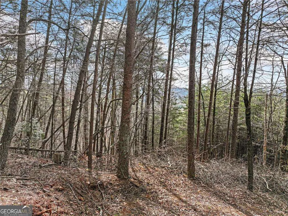 LOT 30 Crown Mountain WAY Dahlonega, GA 30533
