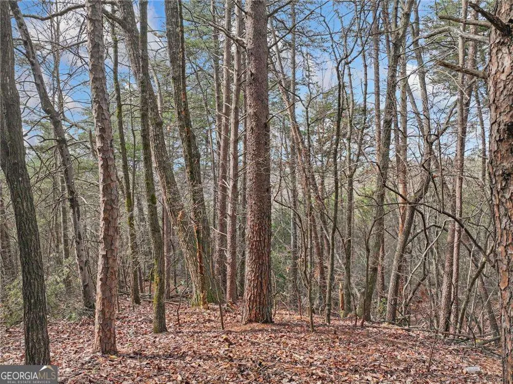 LOT 30 Crown Mountain WAY Dahlonega, GA 30533