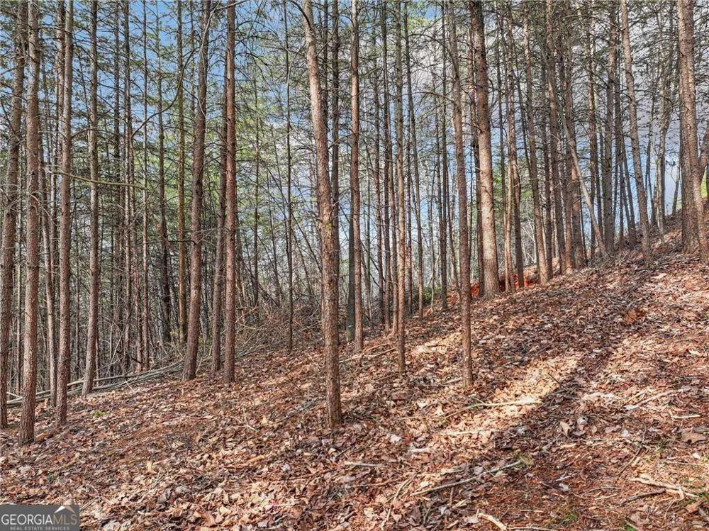 LOT 30 Crown Mountain WAY Dahlonega, GA 30533