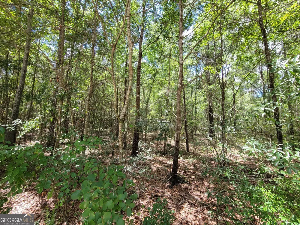 2604 River Bend RD Statesboro, GA 30461