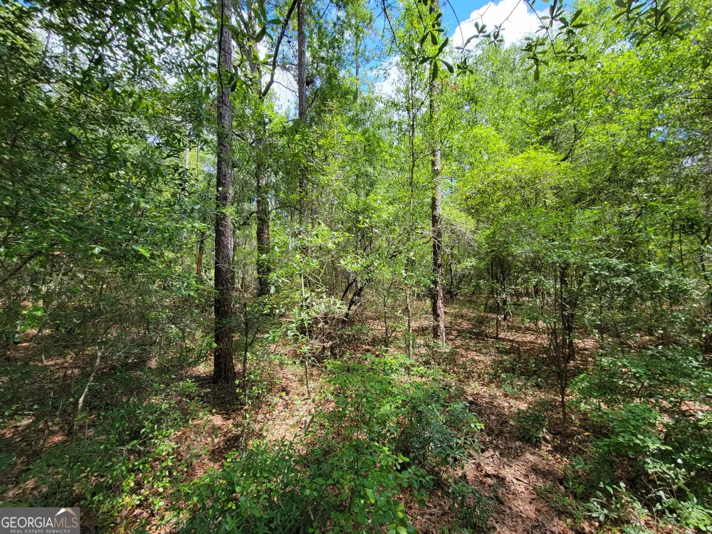 2604 River Bend RD Statesboro, GA 30461