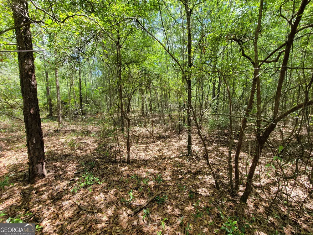 2604 River Bend RD Statesboro, GA 30461