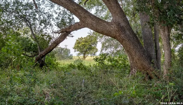 2974 Fm 467 Seguin, TX 78155