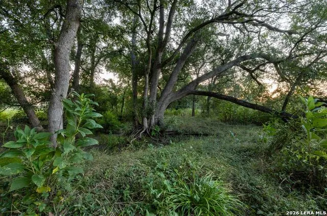 2974 Fm 467 Seguin, TX 78155