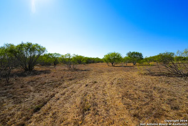 315 OLD PLEASANTON RD San Antonio, TX 78264
