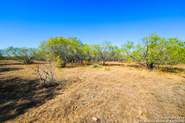 315 OLD PLEASANTON RD San Antonio, TX 78264